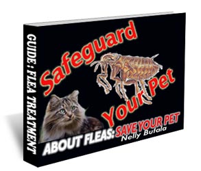 Safeguard your pet against fleas